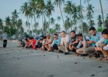 Peduli Satwa Langka, PT PLN Indonesia Power UBP Barru Lakukan Pelepasliaran Tukik di Pantai Lowita